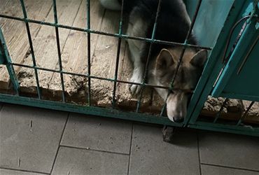 Без имени