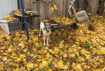 Придумай имя